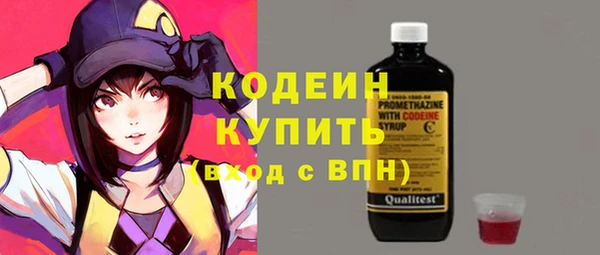 соль ск Каменногорск