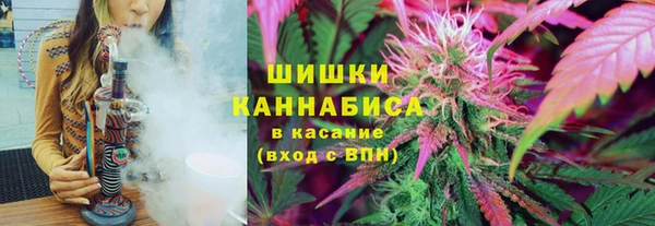 соль ск Каменногорск
