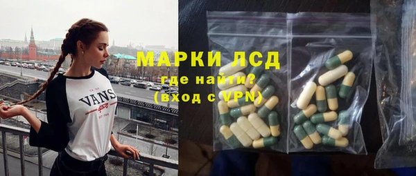 соль ск Каменногорск