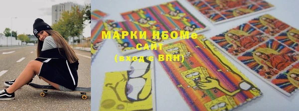 соль ск Каменногорск
