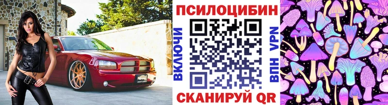 дарнет шоп Истра Галлюциногенные грибы Psilocybine cubensis
