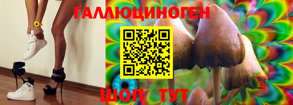 Псилоцибиновые грибы ЛСД Истра